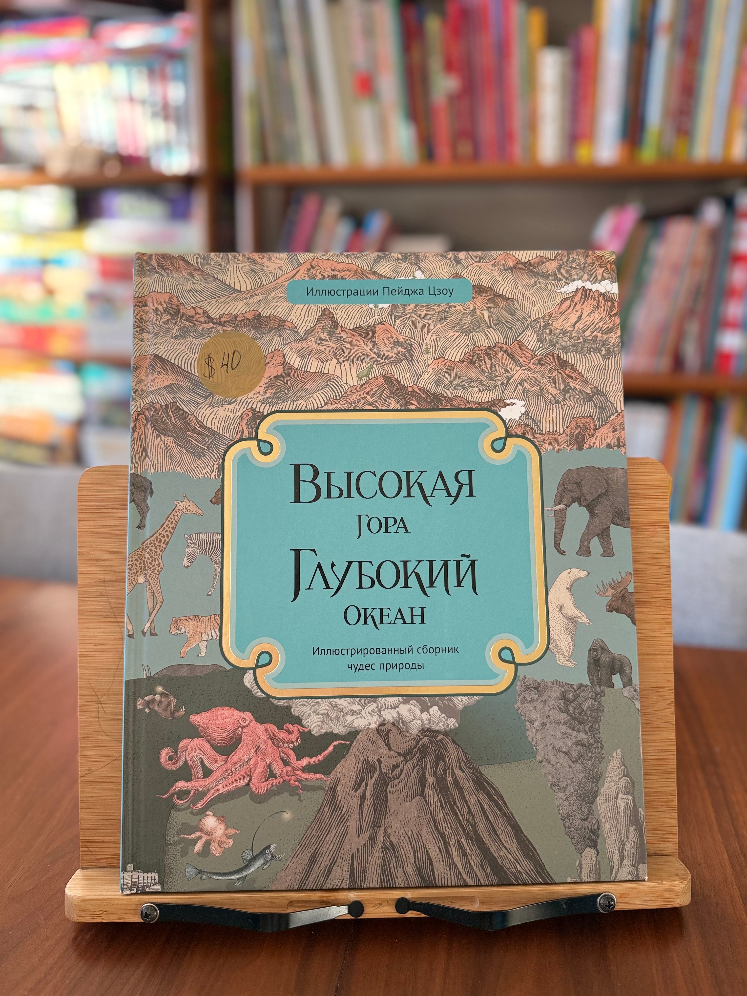 Высокая гора. Глубокий океан